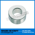 Custom Multipole Permanent Magnet Ring